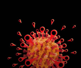 Sierra Leone Corona Virus Cases Tracker